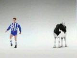 Fu&szlig;ballkuh