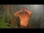 Tarzan trinkt Bier