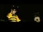 Wo sind die Bienchen hin?