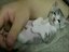 Die besten Tierclips
