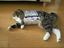 Seltsame Katze