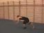 Flic Flac Fail