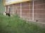 Furchtlose Ratte