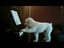 Hund hat den Blues