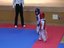 Mini-Taekwaodo