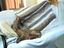 Hund klaut Decke