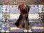 gesprengter Hund