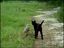 Katze und Eule sind beste Freunde