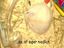 Im Hamsterrad geht es rund