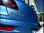 Hund und Auto