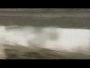 toller Stunt toller Stunt