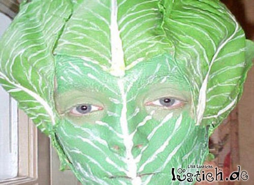 Salatkopf Salatkopf