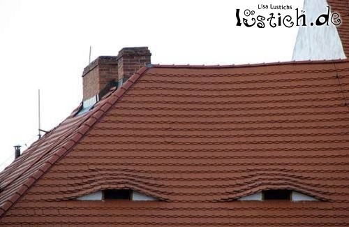 Dach mit Augen Dach mit Augen