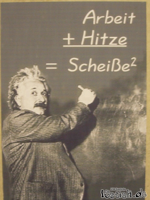 Die einzig wahre Theorie Bild - lustich.de