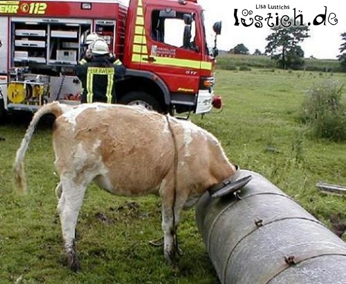 42++ Bauern sprueche , Feuerwehreinsatz Bild lustich.de