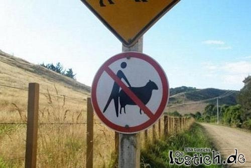 Lasst die Schafe in Ruhe!