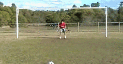 22799-kopfball.gif