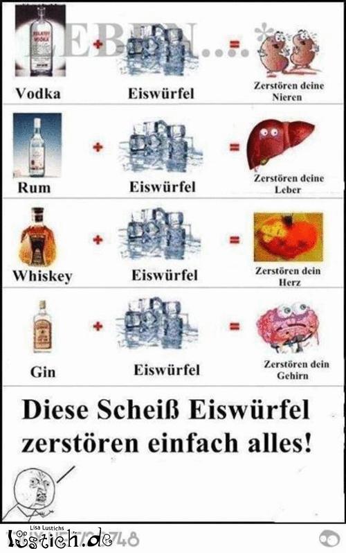 Eiswürfel Bild lustich.de