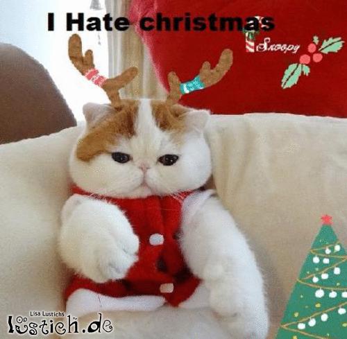 Ich hasse Weihnachten