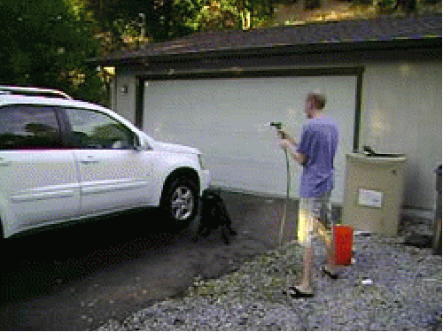 Auto waschen Bild lustich.de