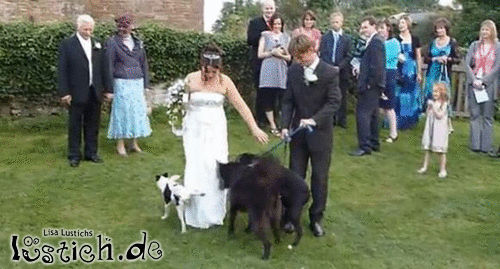 Hochzeit mit Hund