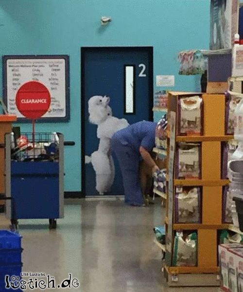 Sich bücken Bild lustich.de