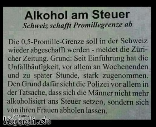 Alkohol Am Steuer Bild - Lustich.de