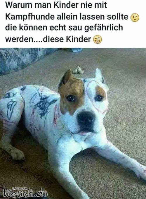 Kampfhunde und Kinder Bild lustich.de
