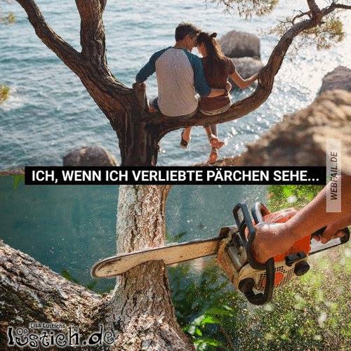 Verliebte Pärchen Bild lustich.de