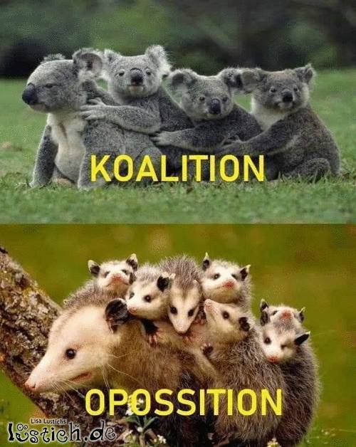 Koalition & Opposition Bild - lustich.de