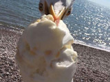 Eis, Möwe, Photobomb