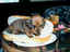 Hotdog