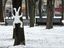 Schneehase am Baum