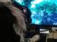 Hund liebt Computer-Spiele