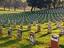 Friedhof der Zigaretten