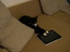 Katze Sally mit iPad