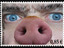 Schweinemarke Schweinemarke