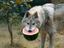 Vegetarischer Wolf