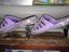 Die Schuhe aufpeppen