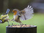 Das ist Sparta!