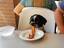 Leckerer Bacon