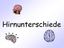 Hirnunterschiede